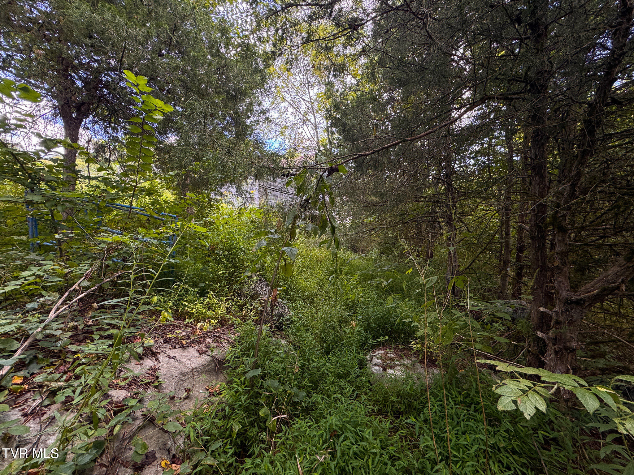 3341 Stoney Fork Road Sneedville, TN 37869 - Photo 30 of 34 IMG_9994