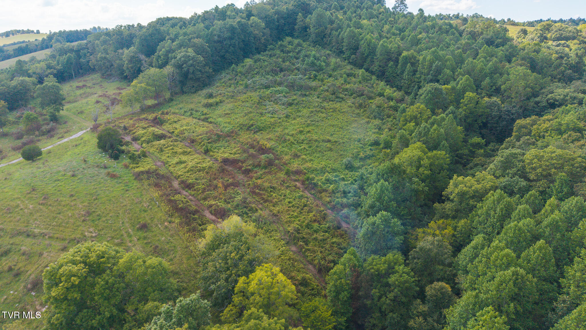 3341 Stoney Fork Road Sneedville, TN 37869 - Photo 3 of 34 DJI_20250830162438_0351_D