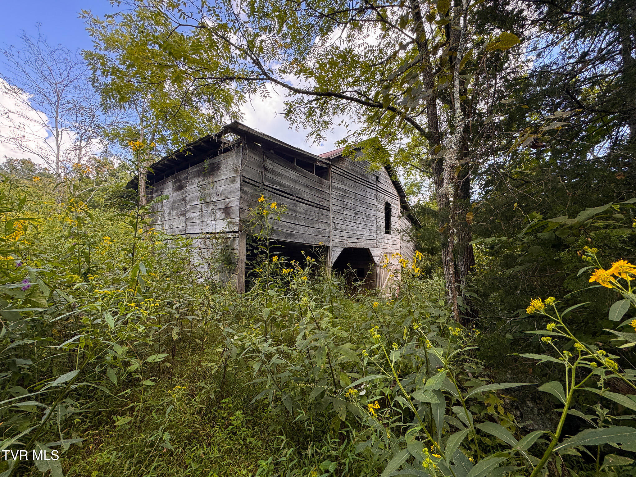 3341 Stoney Fork Road Sneedville, TN 37869 - Photo 31 of 34 IMG_9995