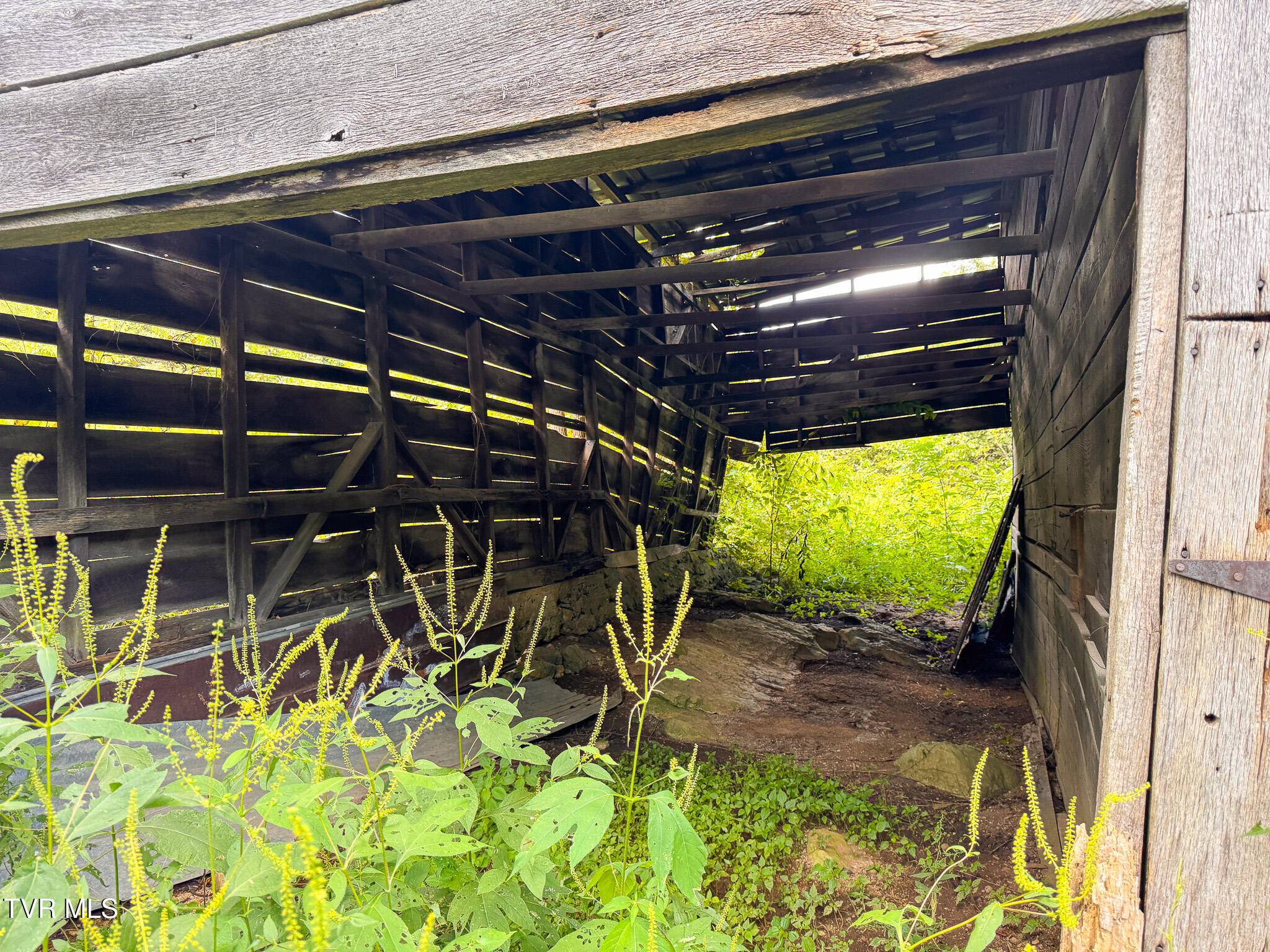 3341 Stoney Fork Road Sneedville, TN 37869 - Photo 32 of 34 IMG_9997