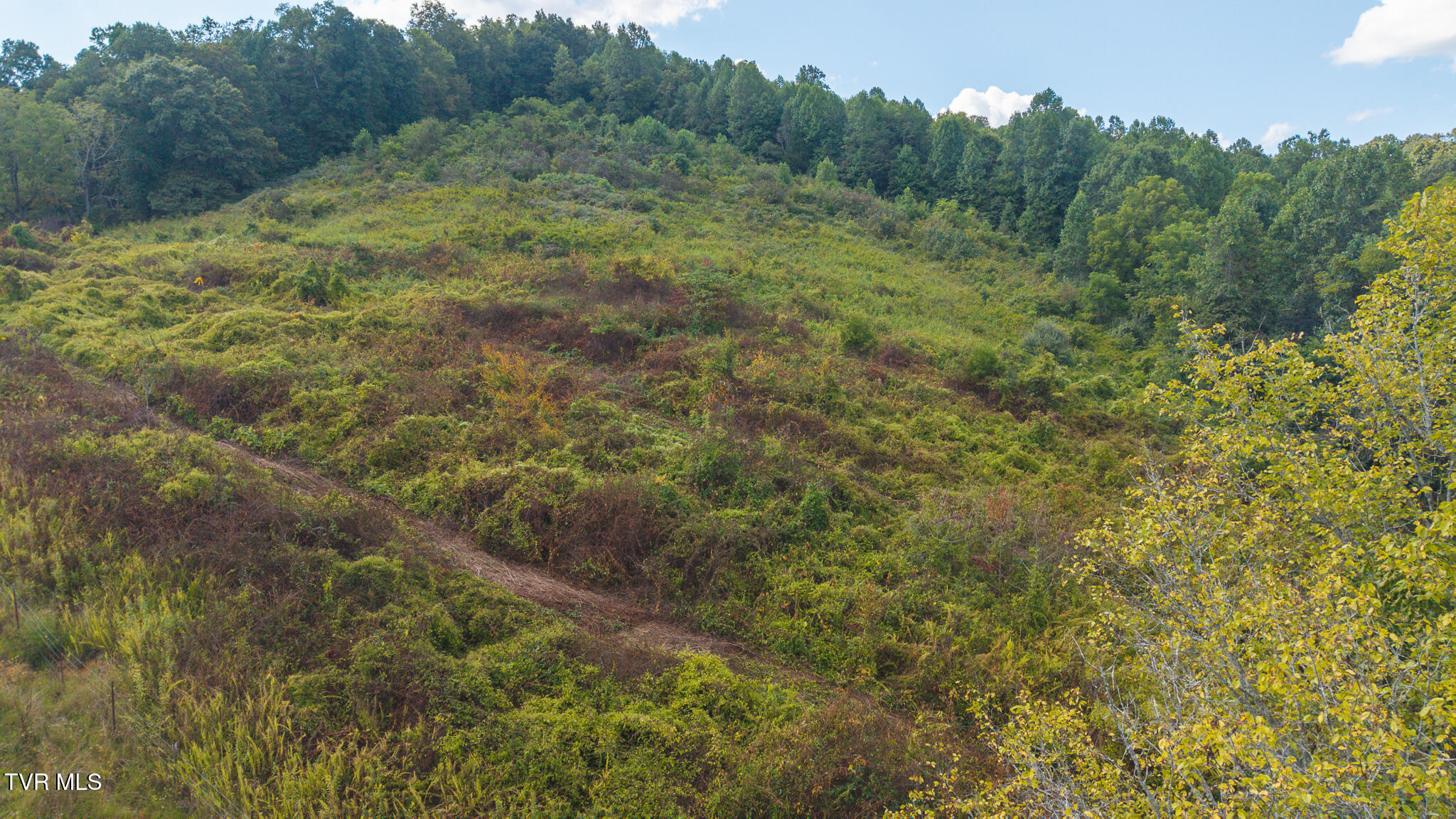 3341 Stoney Fork Road Sneedville, TN 37869 - Photo 4 of 34 DJI_20250830162524_0353_D