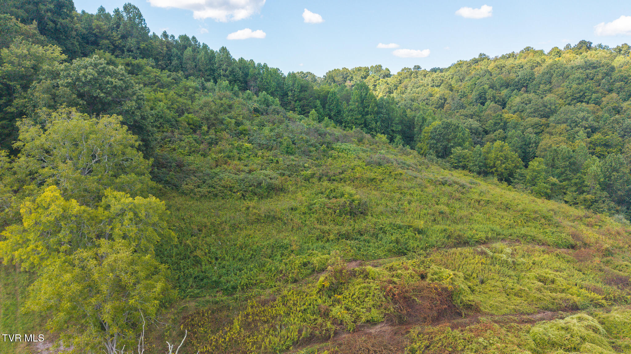 3341 Stoney Fork Road Sneedville, TN 37869 - Photo 5 of 34 DJI_20250830162552_0355_D