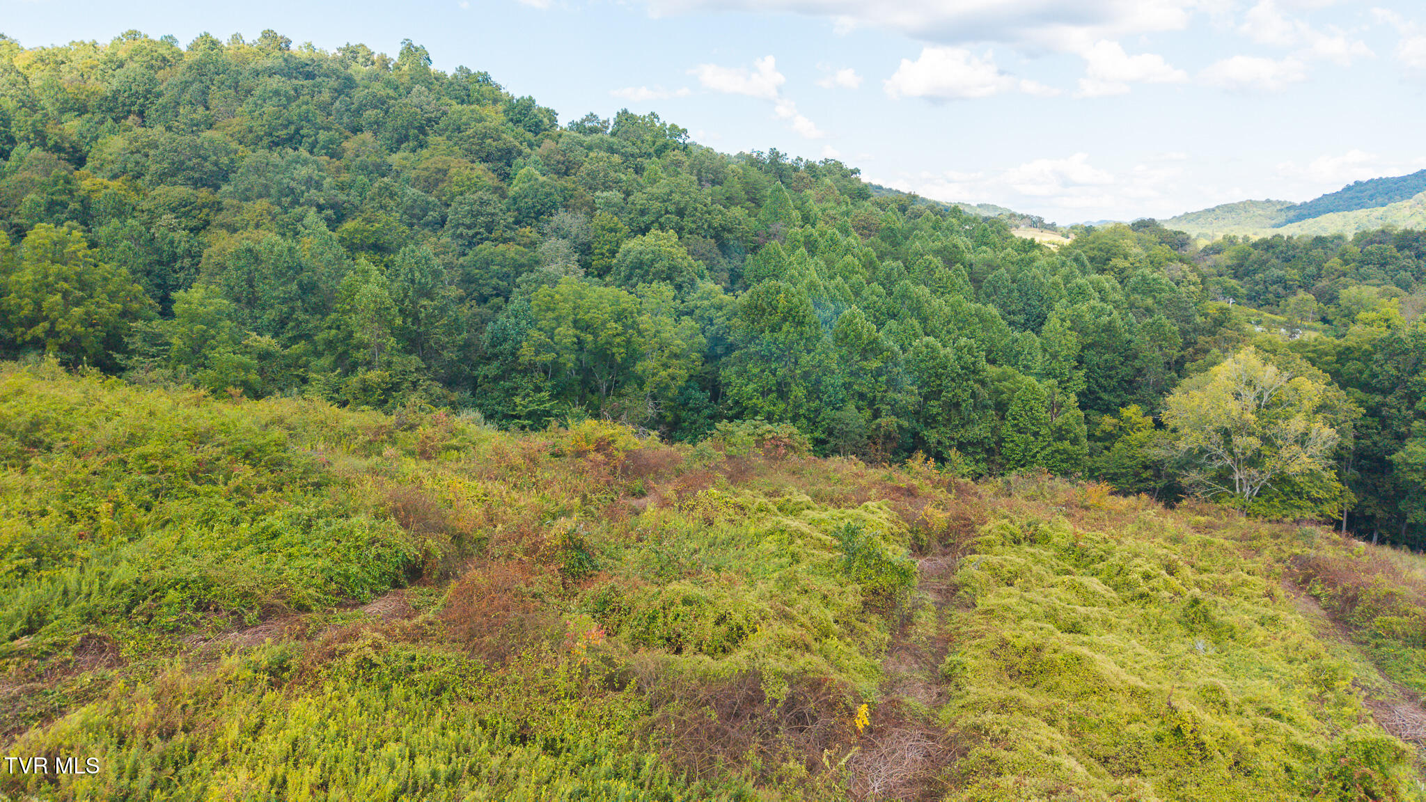 3341 Stoney Fork Road Sneedville, TN 37869 - Photo 7 of 34 DJI_20250830162626_0358_D