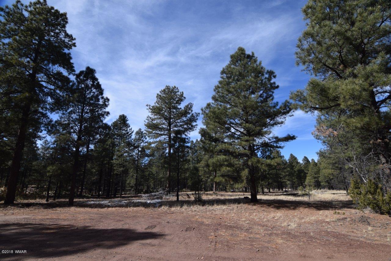 2902 Mud Creek Road Overgaard, AZ 85933 - Photo 11 of 11