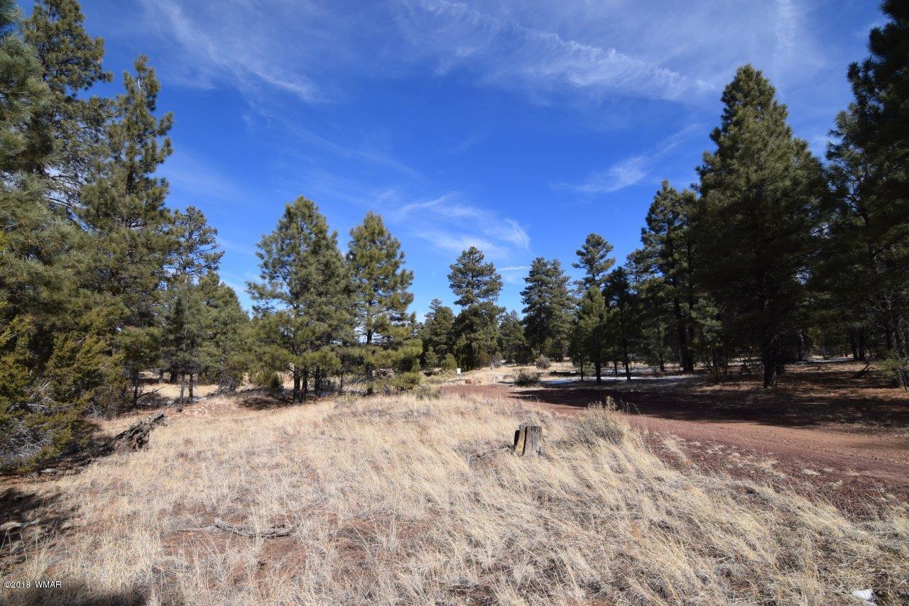 2902 Mud Creek Road Overgaard, AZ 85933 - Photo 3 of 11