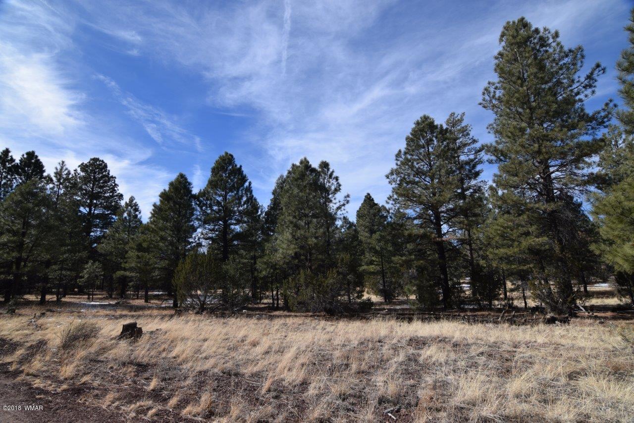 2902 Mud Creek Road Overgaard, AZ 85933 - Photo 4 of 11