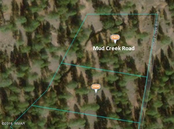 2902 Mud Creek Road Overgaard, AZ 85933 - Photo 5 of 11