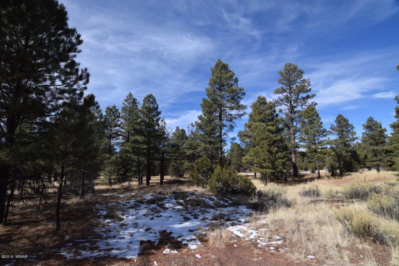 2902 Mud Creek Road Overgaard, AZ 85933 - Photo 6 of 11