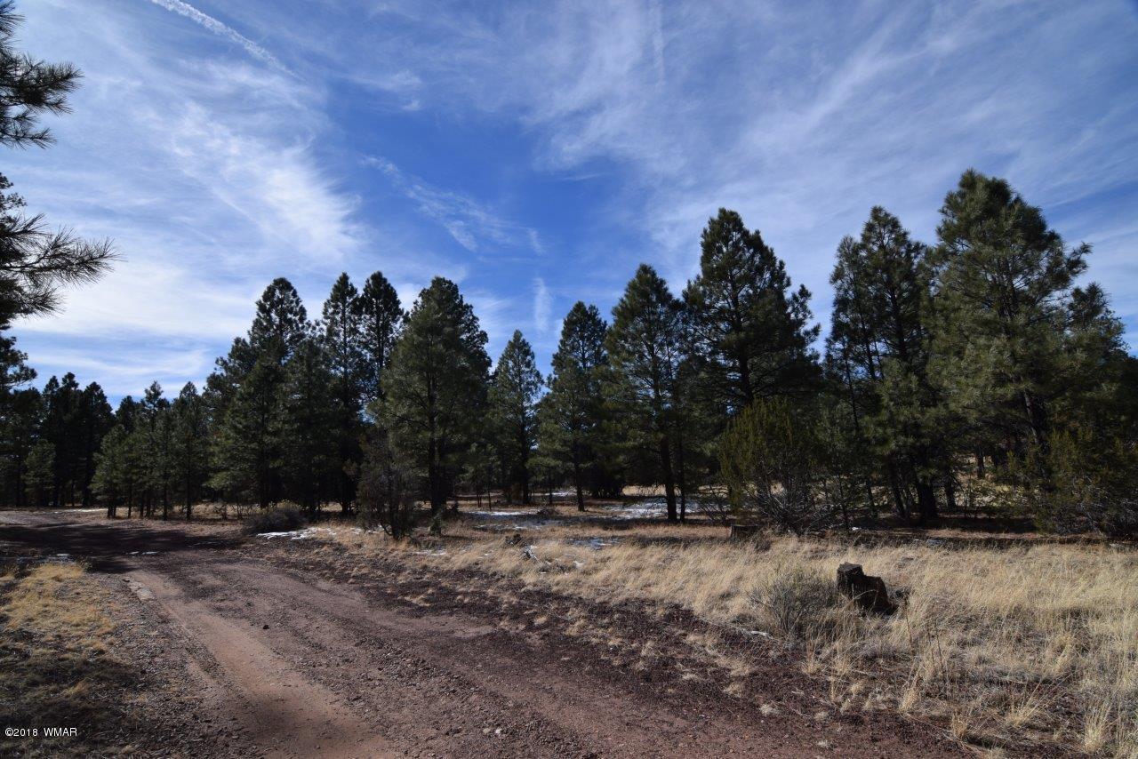 2902 Mud Creek Road Overgaard, AZ 85933 - Photo 7 of 11