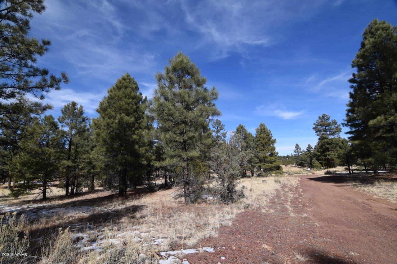 2902 Mud Creek Road Overgaard, AZ 85933 - Photo 8 of 11