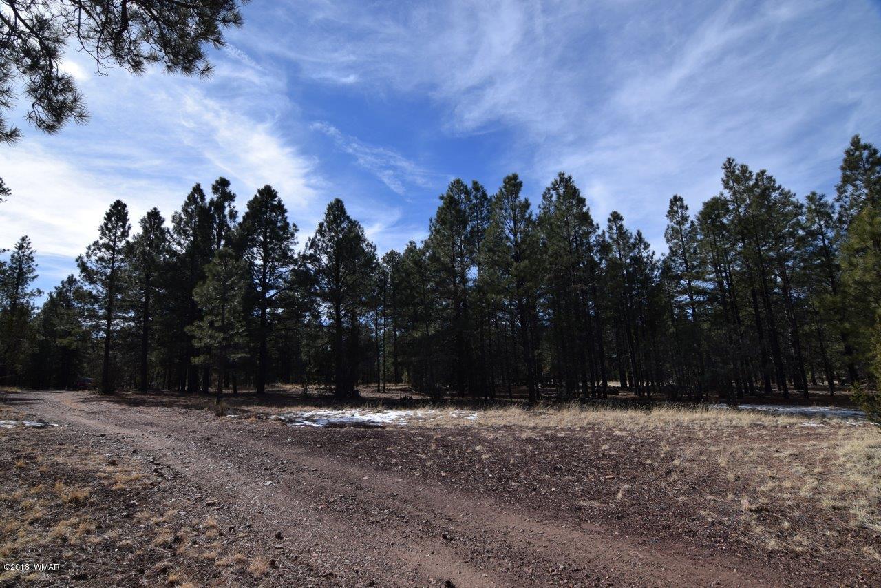 2902 Mud Creek Road Overgaard, AZ 85933 - Photo 9 of 11