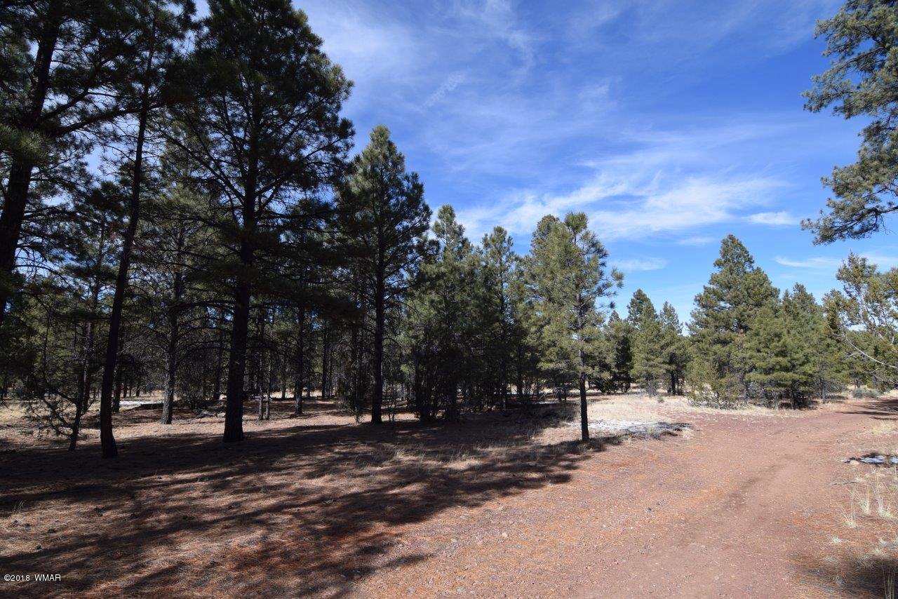 2902 Mud Creek Road Overgaard, AZ 85933 - Photo 10 of 11