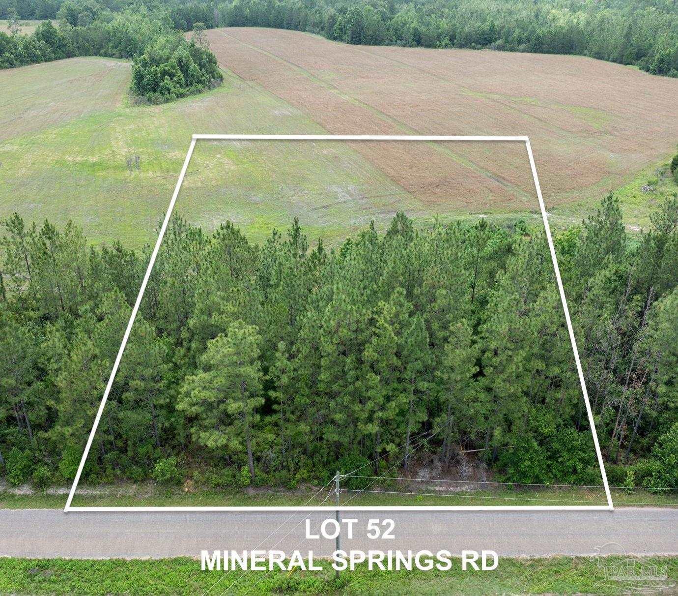 Lot 52 Mineral Springs Road Jay, FL 32565 - Photo 2 of 3