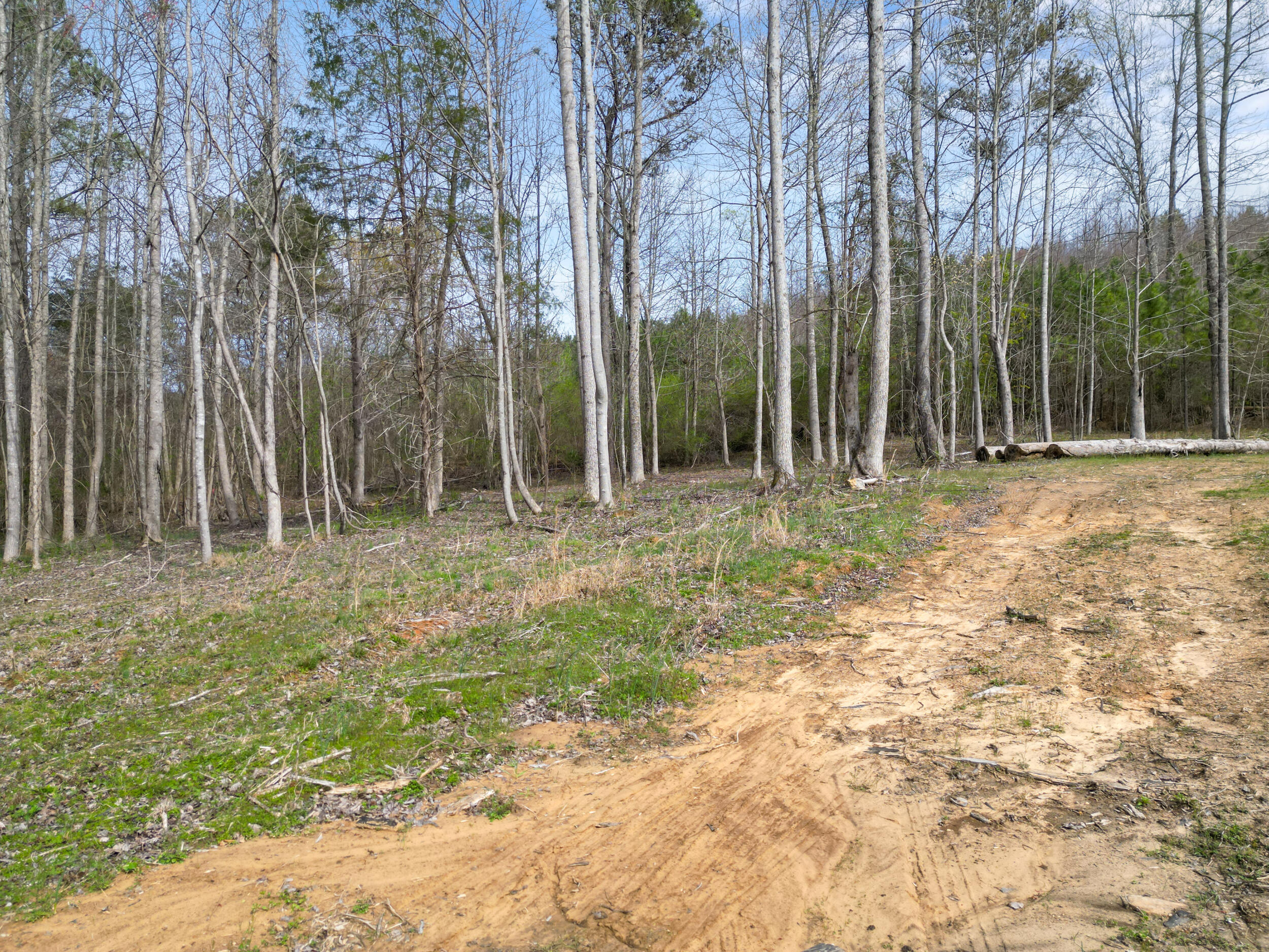 3354 Cherokee Valley Road Ringgold, GA 30736 - Photo 13 of 20 dji_0021