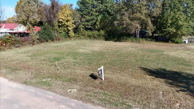 a view of a dry yard