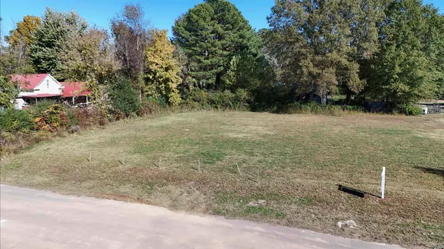 a view of a yard with an outdoor space