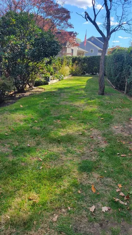 a view of a grassy field with an trees