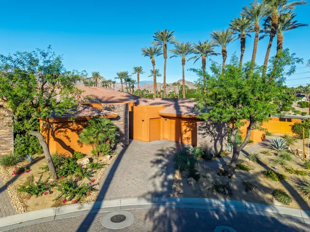 a view of a yard with plants