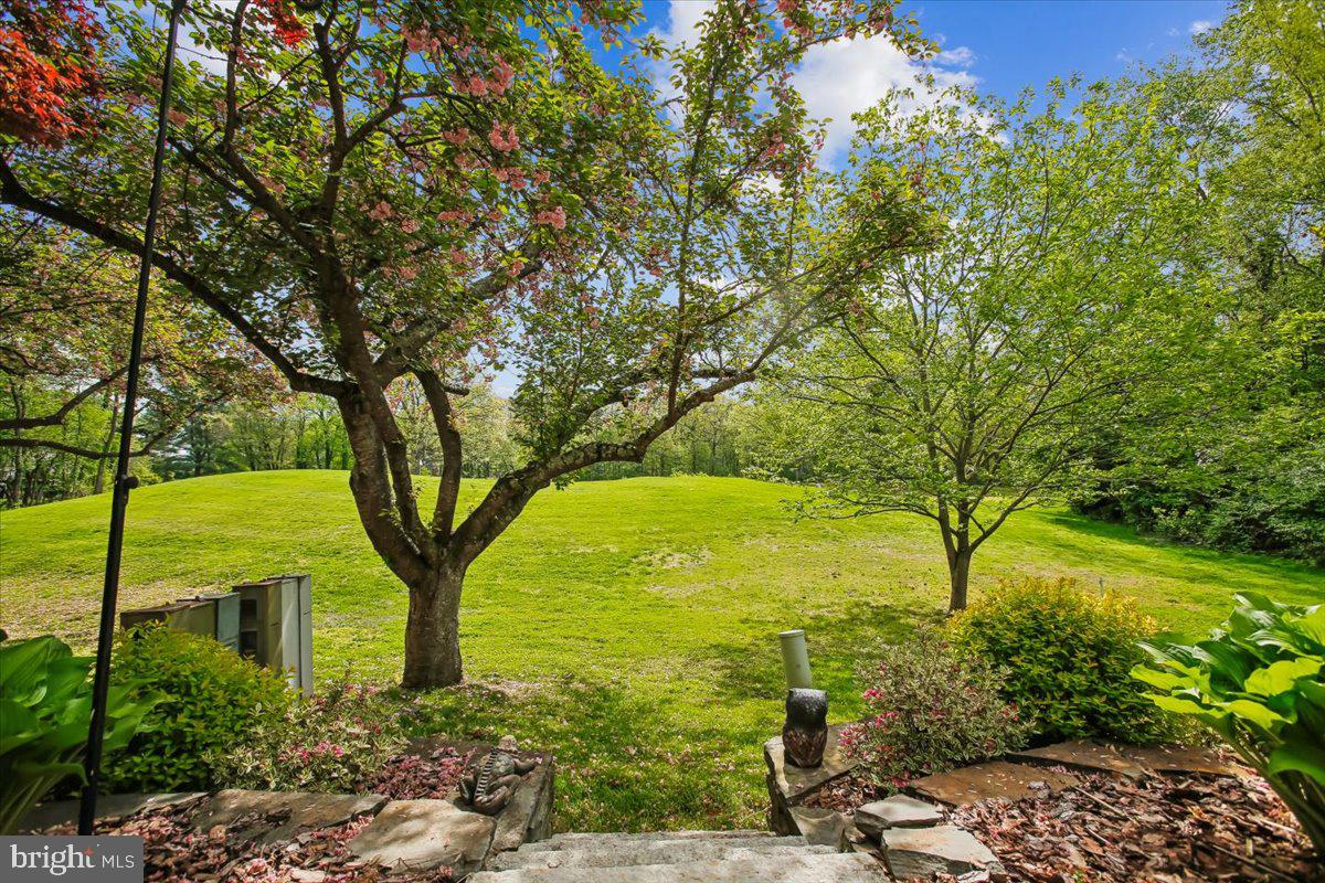 2017 Sarazen Place Reston, VA 20191 - Photo 4 of 52 View from the Patio! SEE THE VIRTUAL TOUR!