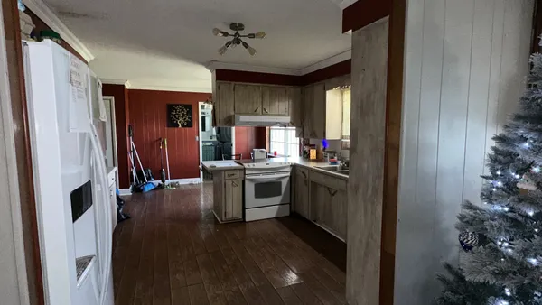 a kitchen with appliances cabinets and a potted plant