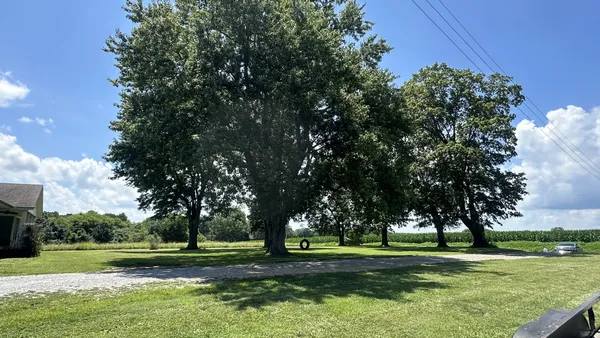 a big yard with lots of trees and plants