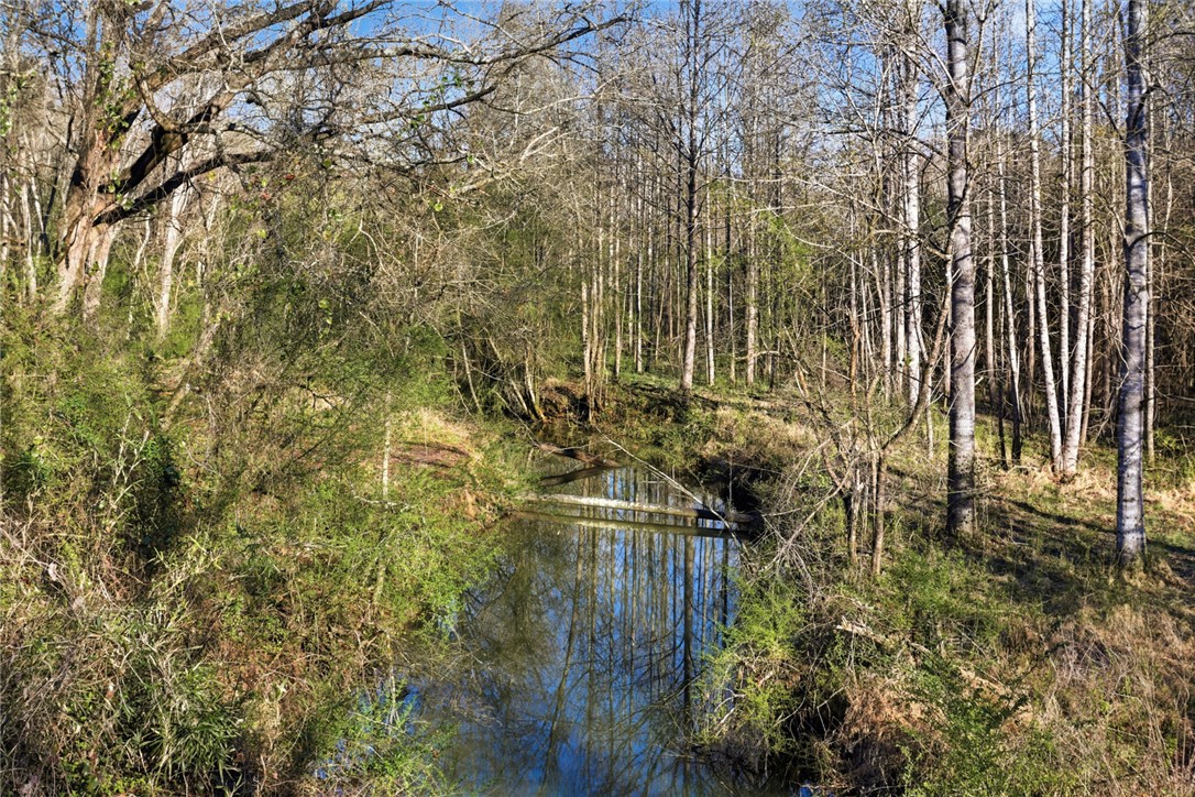 51.3-acres Hall Road Westminster, SC 29693 - Photo 2 of 6