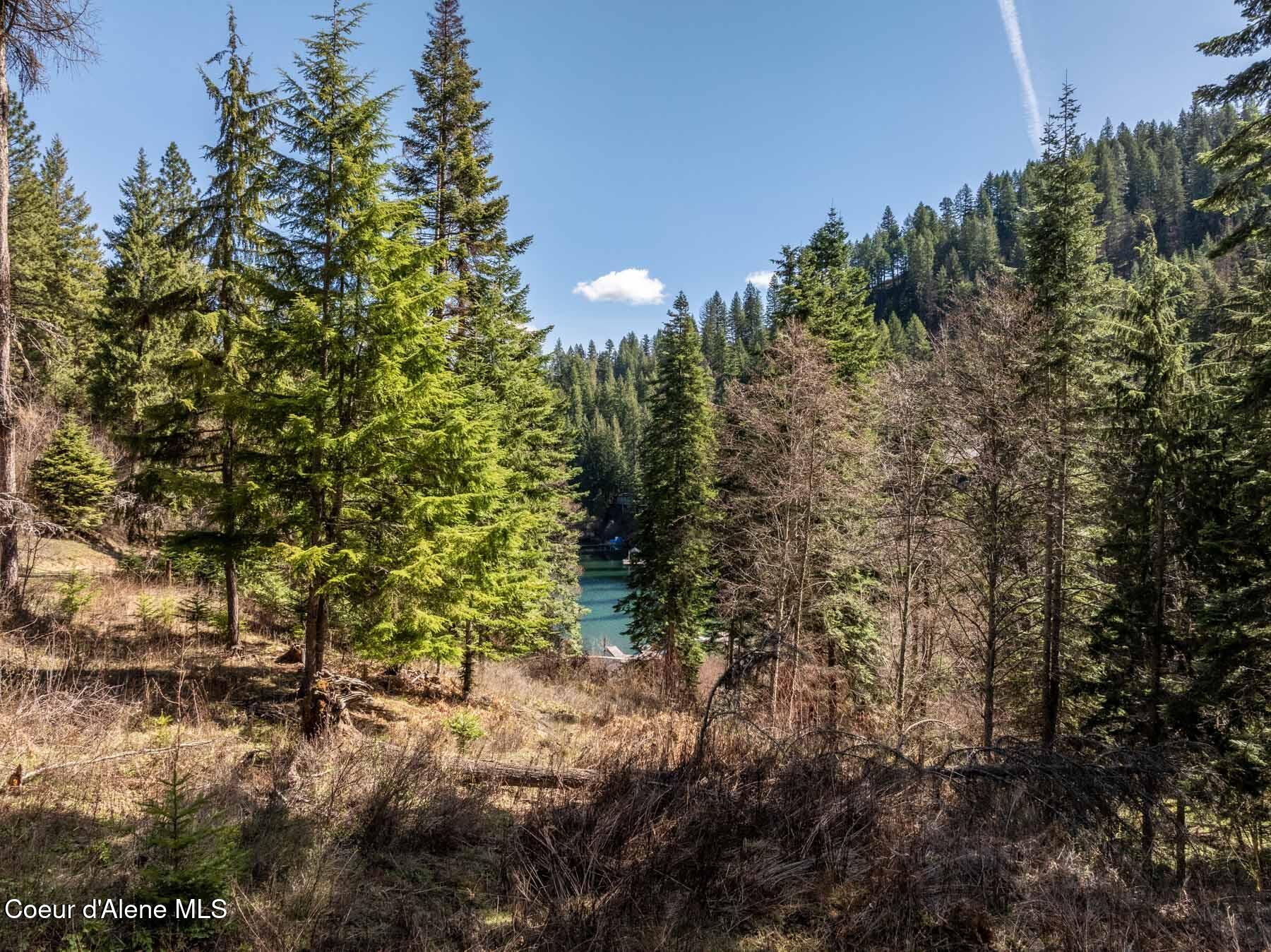 8563 North Rhapsody Lane Hayden, ID 83835 - Photo 5 of 13 19_DJI_0919-HDR_WebReady