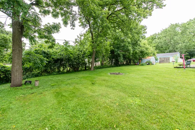 a view of a trees with a big yard