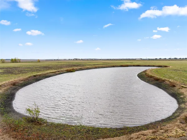 a view of a ocean with a large tree