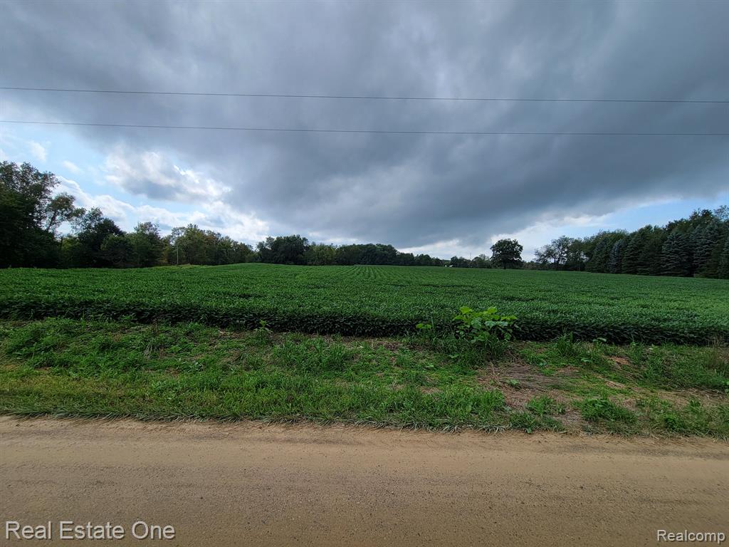 2 South Blacks Corners Road Imlay City, MI 48444 - Photo 8 of 13 Gallery Image 8
