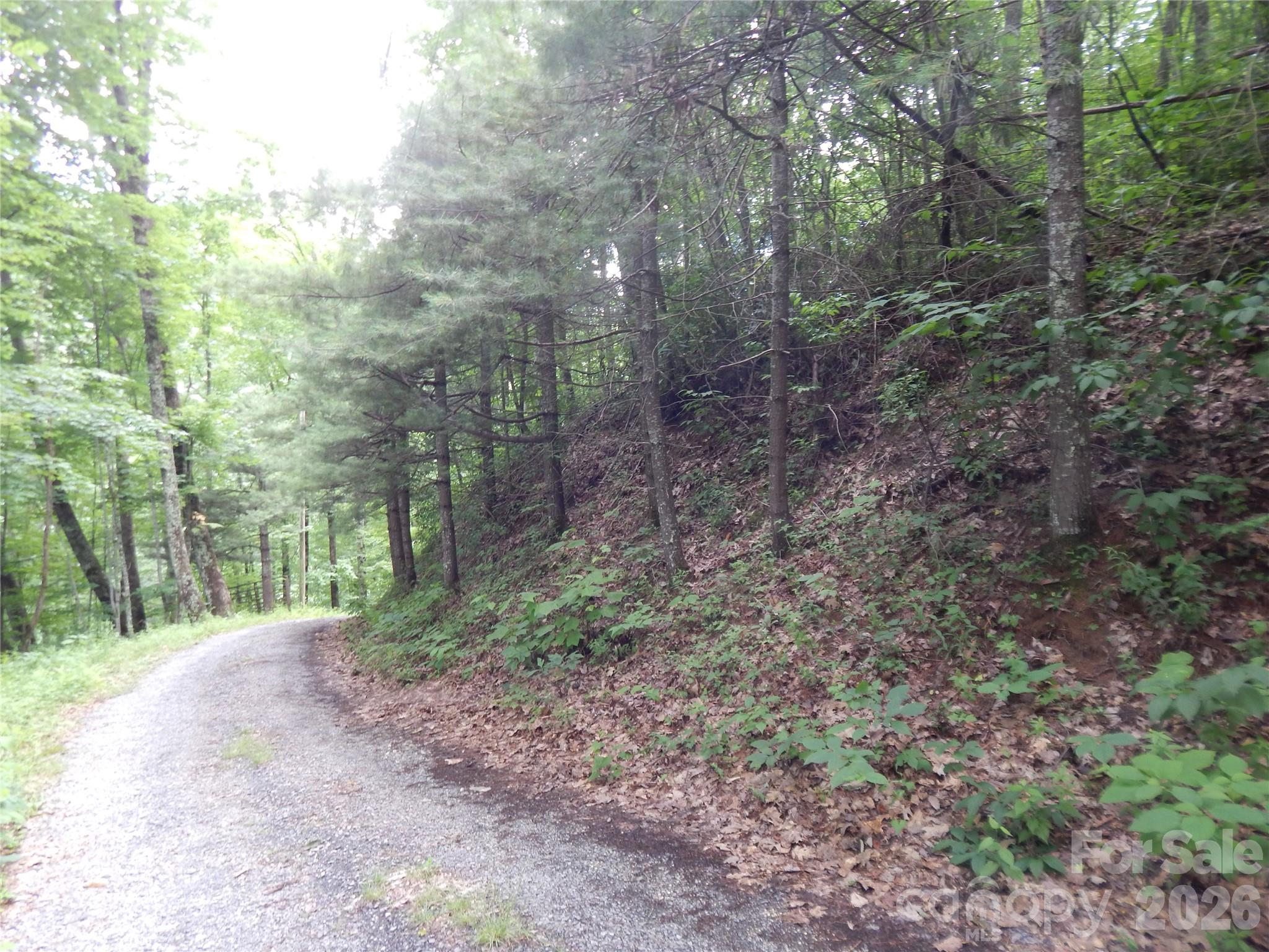 0 Hoot Owl Bill Road Maggie Valley, NC 28751 - Photo 5 of 37 a view of a forest with trees