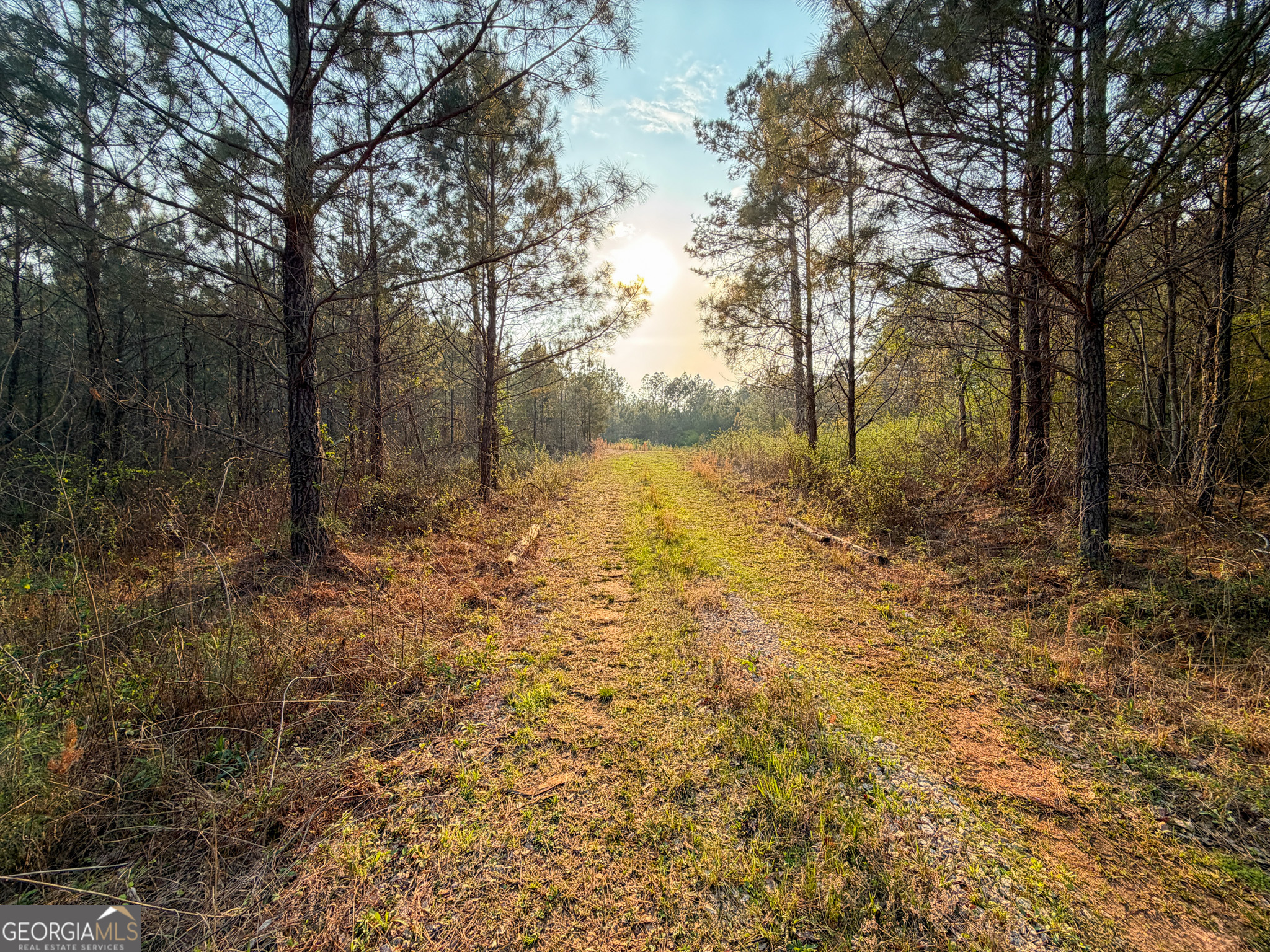 105 Acres On Mccosh Mill Road LaGrange, GA 30240 - Photo 7 of 25 a view of an outdoor space and trees