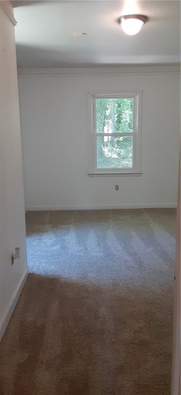 1636 Flat Rock Road Starr, SC 29684 - Photo 7 of 18