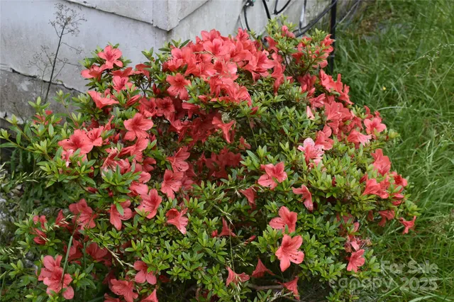 $159,900 | 18417 Hwy 221 Highway North, Marion, NC 28752