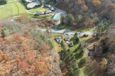 a view of a yard with plants