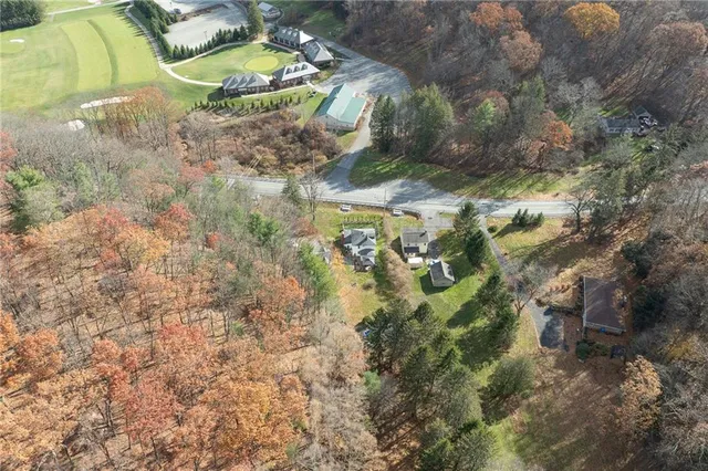 a view of a yard with plants