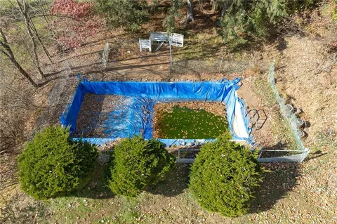 a view of a yard with plants