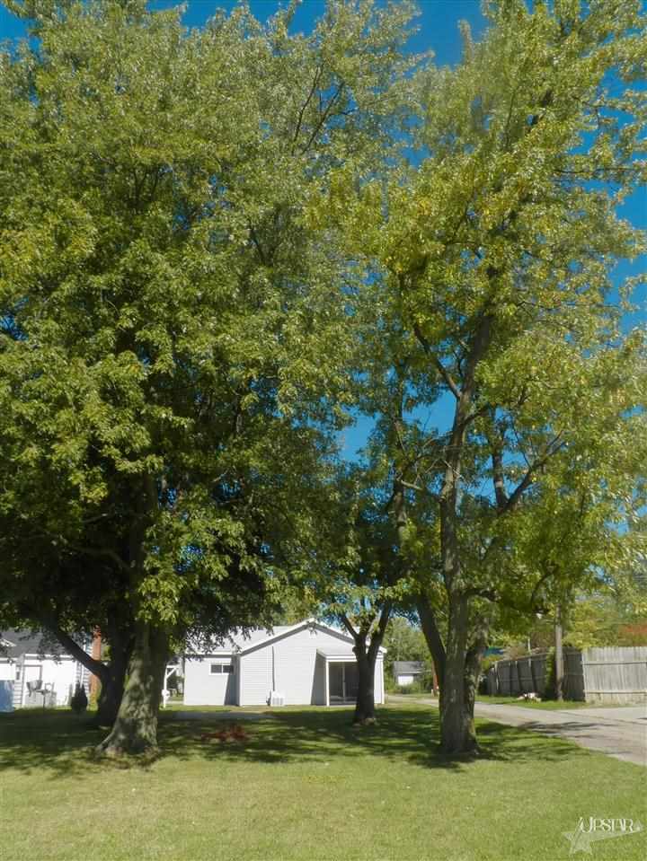 1613 Madison Street Decatur, IN 46733 - Photo 5 of 30