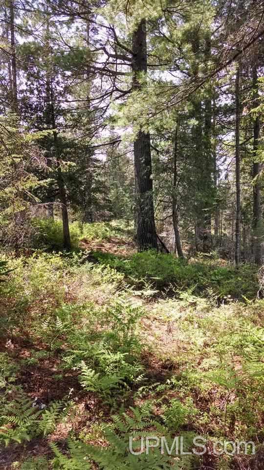 N1766 Old Plank Road Wetmore, MI 49895 - Photo 18 of 25
