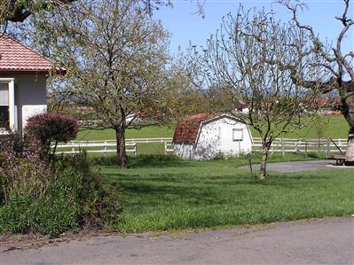 5725 Bravo Toro Lane Santa Rosa, CA 95401 - Photo 11 of 12 Nice setting for the storage shed.