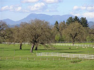 5725 Bravo Toro Lane Santa Rosa, CA 95401 - Photo 2 of 12 Beautiful views.