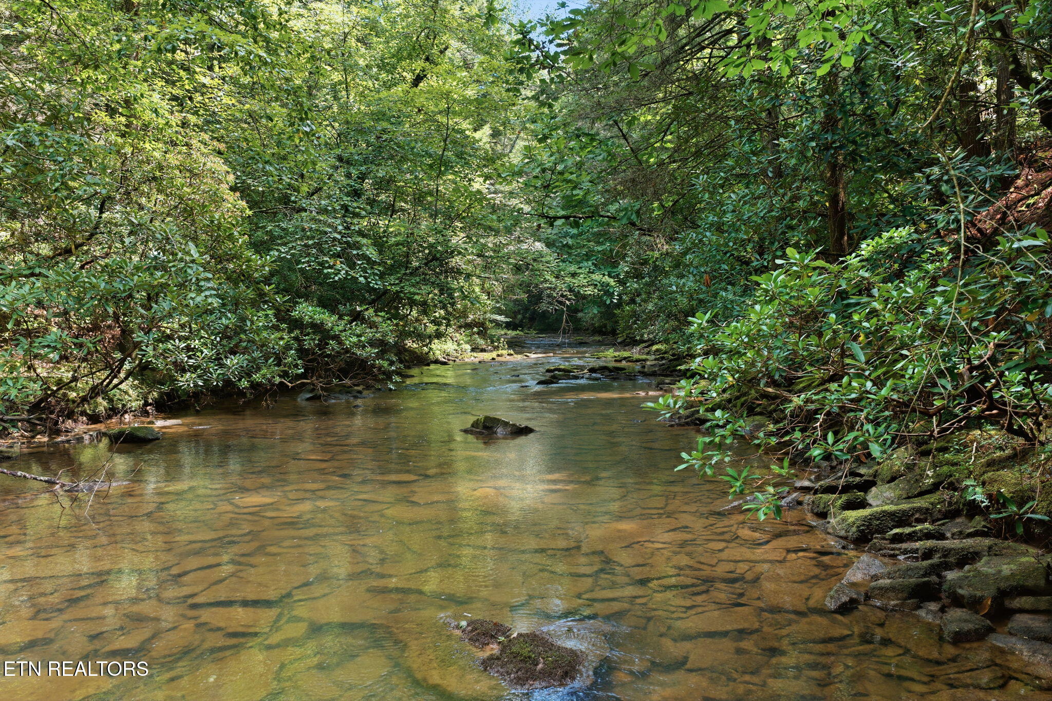 Twin Bridge Road Deer Lodge, TN 37726 - Photo 1 of 30 15-web-or-mls-015_Twin Bridge-074