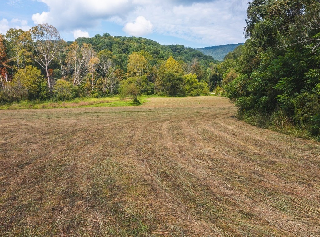24 Coffey Lane Rutledge, TN 37861 - Photo 6 of 35