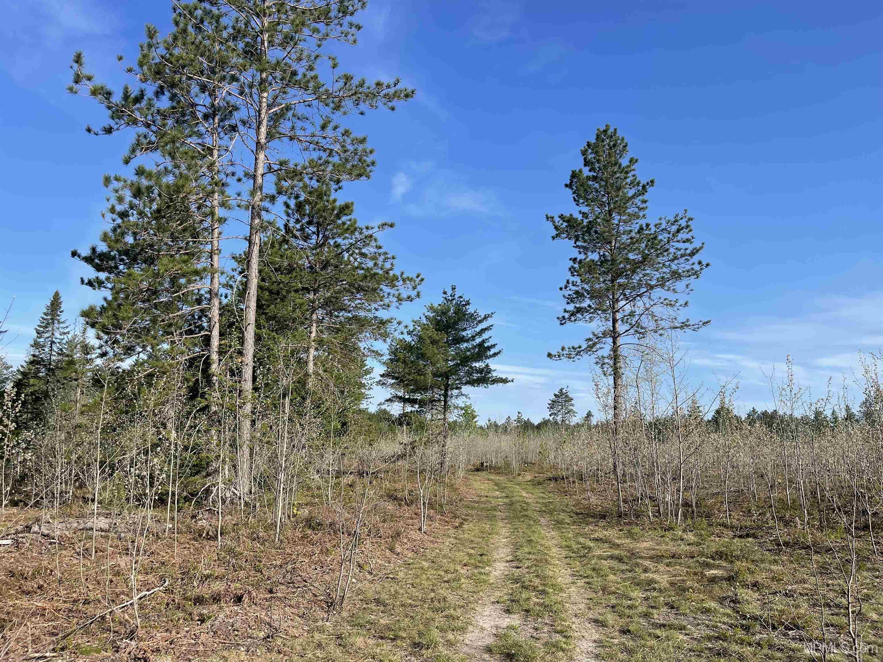 Tbd Tbd Hay Meadow Road Manistique, MI 49854 - Photo 27 of 51