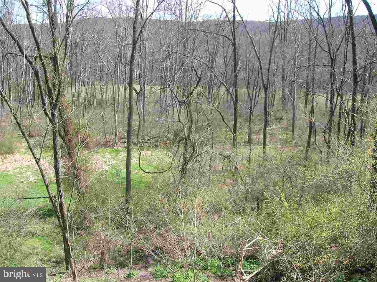 832 Kennedy Valley Road Landisburg, PA 17040 - Photo 14 of 16 Gallery Image 14