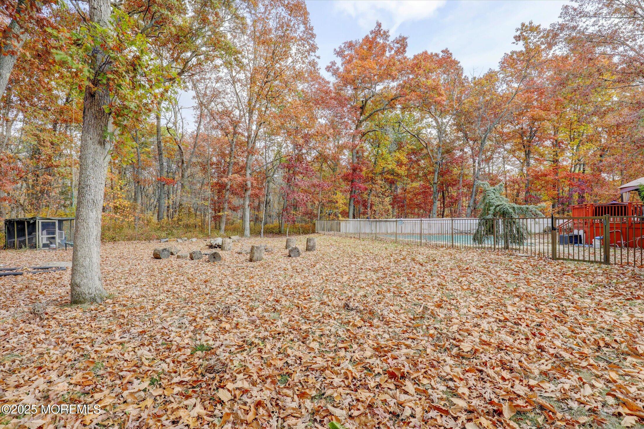 9 Rutherford Court Jackson, NJ 08527 - Photo 45 of 47 45-Backyard