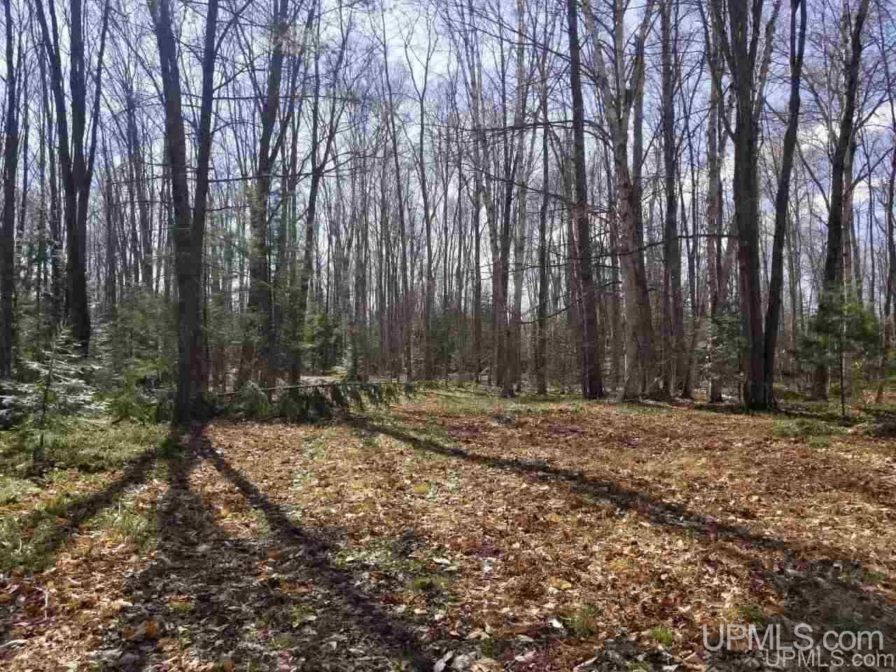 Tbd 2224 Road Wetmore, MI 49895 - Photo 11 of 14