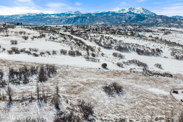 a view of a forest with a lake view
