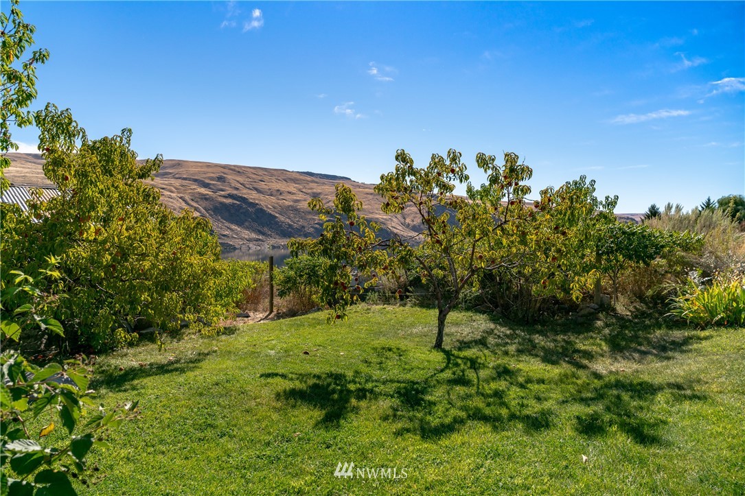258 Starr Road Pateros, WA 98846 - Photo 23 of 27 Gallery Image 23
