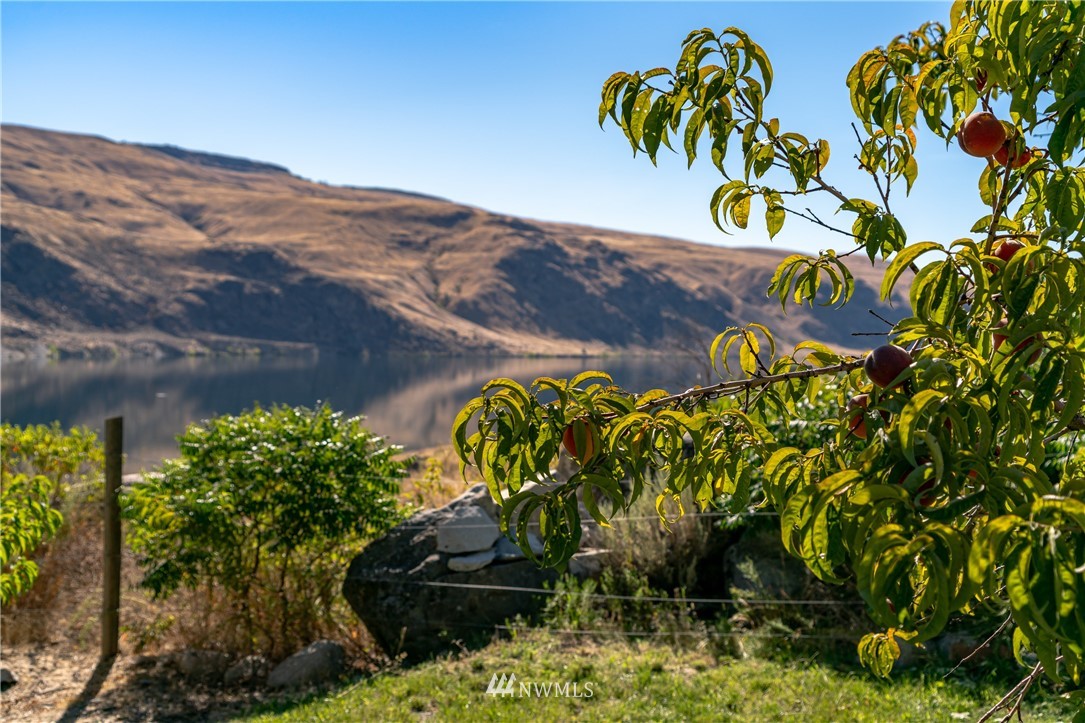 258 Starr Road Pateros, WA 98846 - Photo 24 of 27 Gallery Image 24